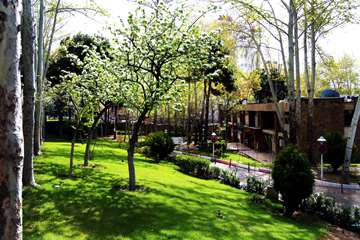 بهار در قاب دانشگاه علوم بهزیستی و توانبخشی